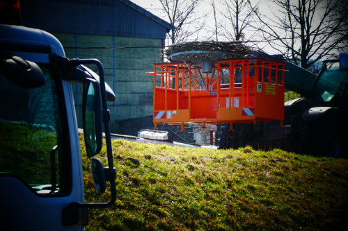 Kita Besuch für Storchennestbau