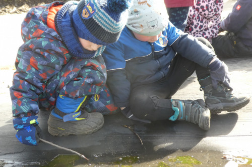 Kita Besuch für Storchennestbau