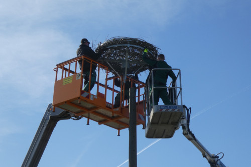 Kita Besuch für Storchennestbau